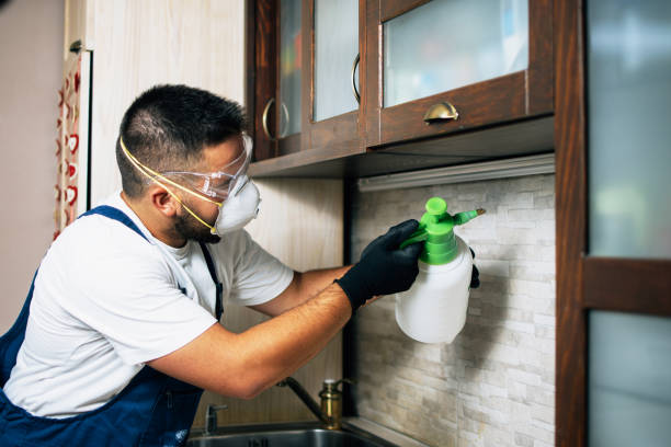Best Mosquito Control Services  in Diamondhead, MS