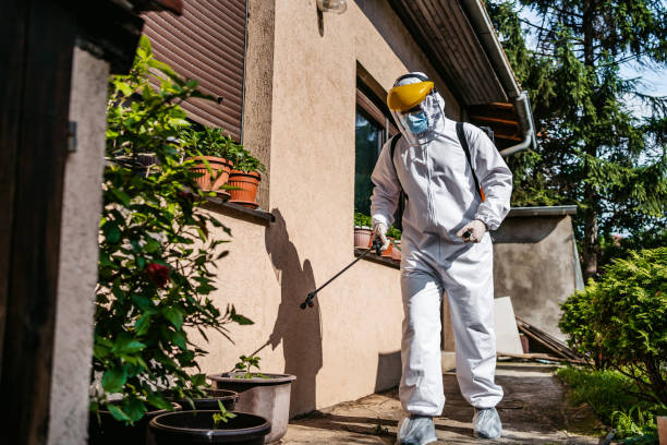 Best Commercial Pest Control Services  in Diamondhead, MS